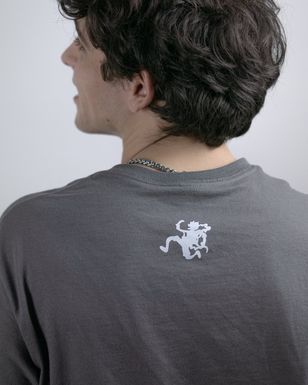 one piece camiseta hito hito no mi detras